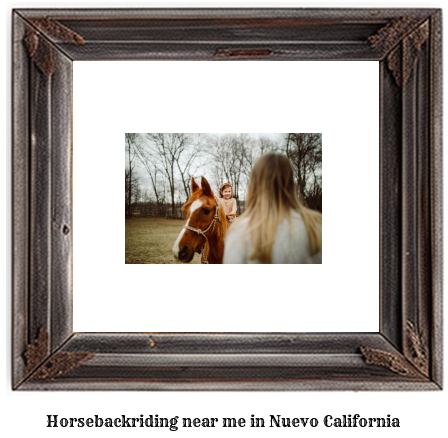 horseback riding near me in Nuevo, California